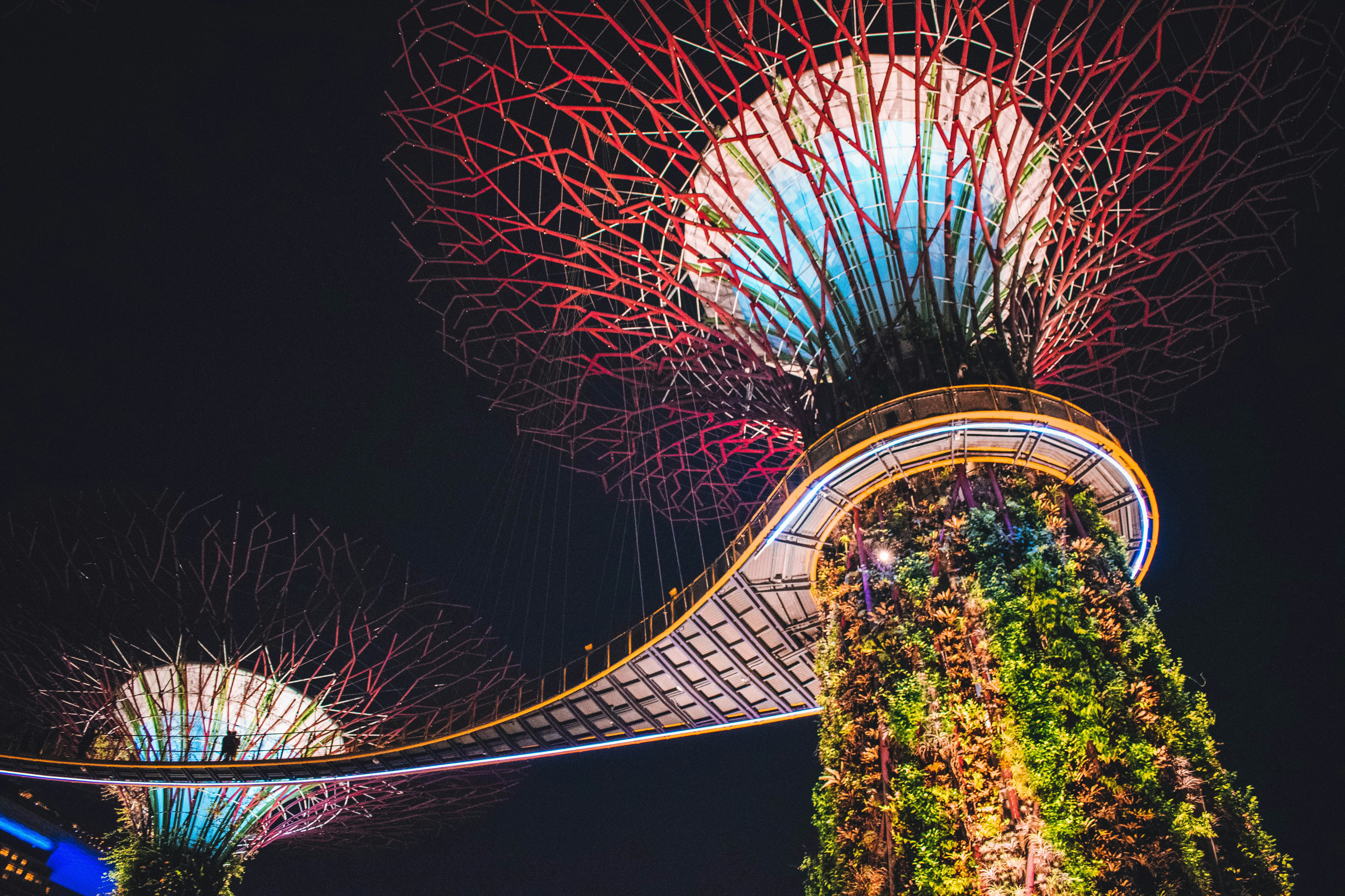 bridge and tower with plants